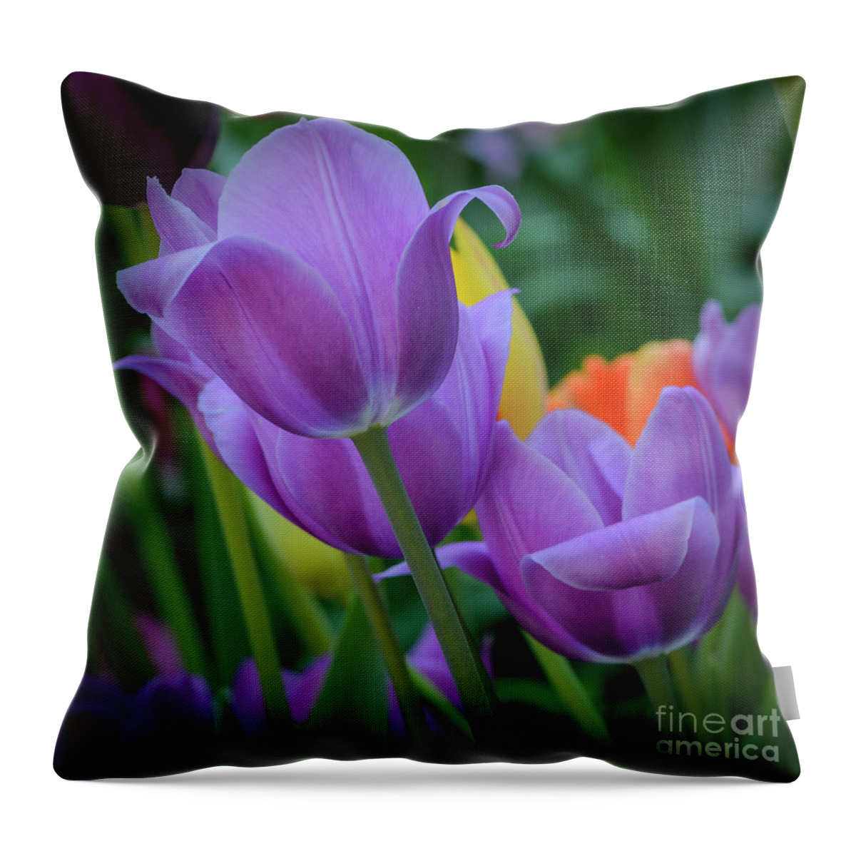 Tulips Throw Pillow featuring the photograph Lavender Tulips by Tamara Becker