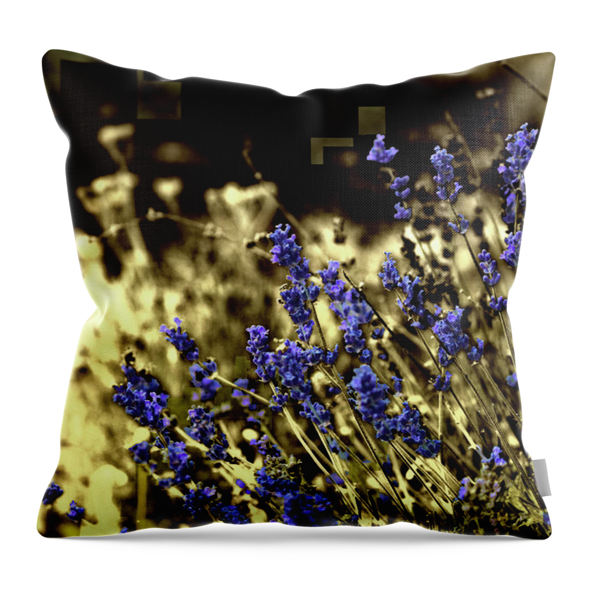 Purple Throw Pillow featuring the photograph Lavender Yellow by April Burton