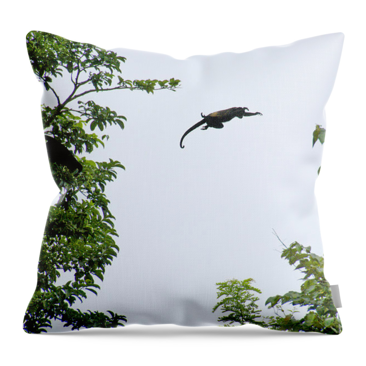 Monkey Throw Pillow featuring the photograph Leaping Monkey by Ted Keller