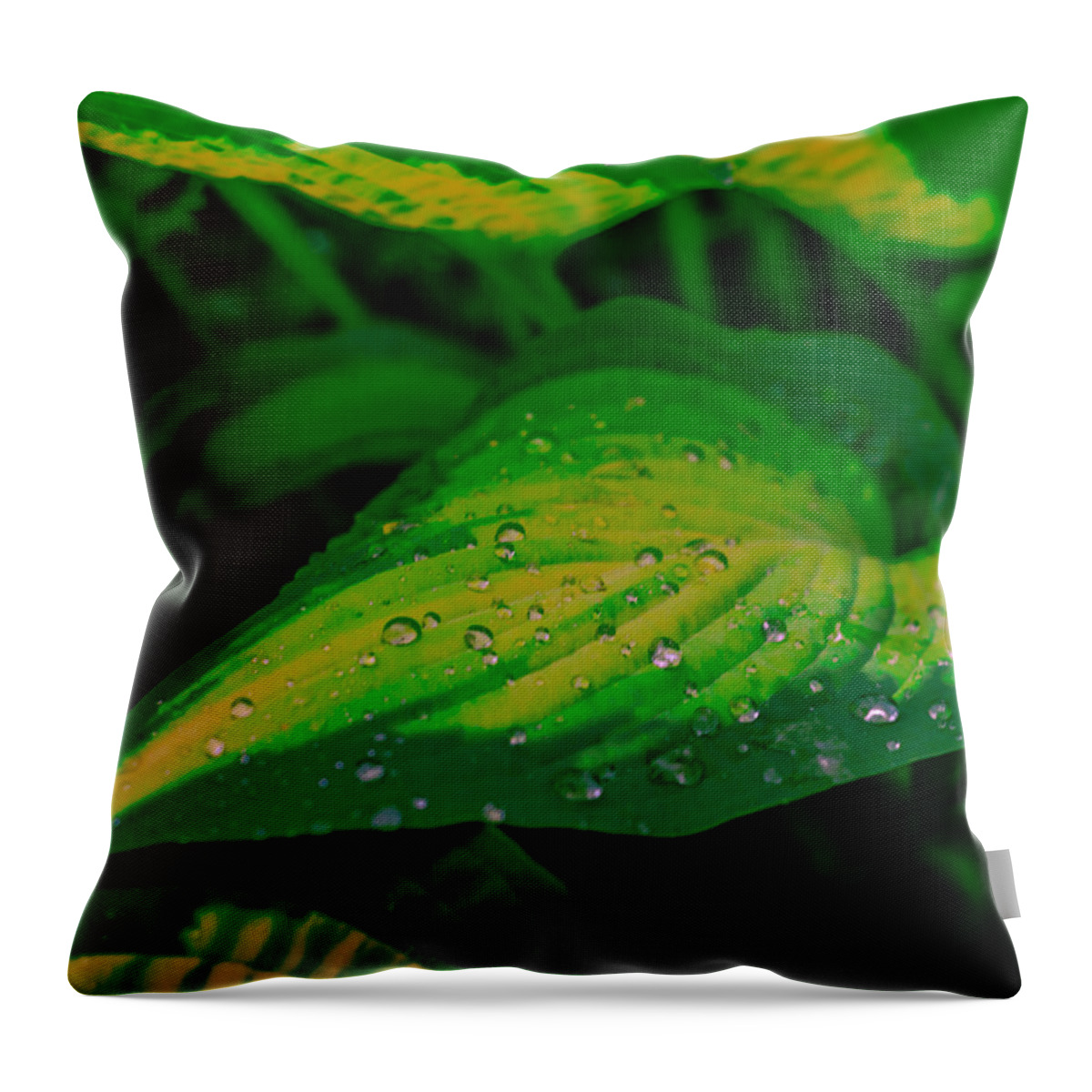 Leaf Throw Pillow featuring the photograph Leaves by Jerry Cahill