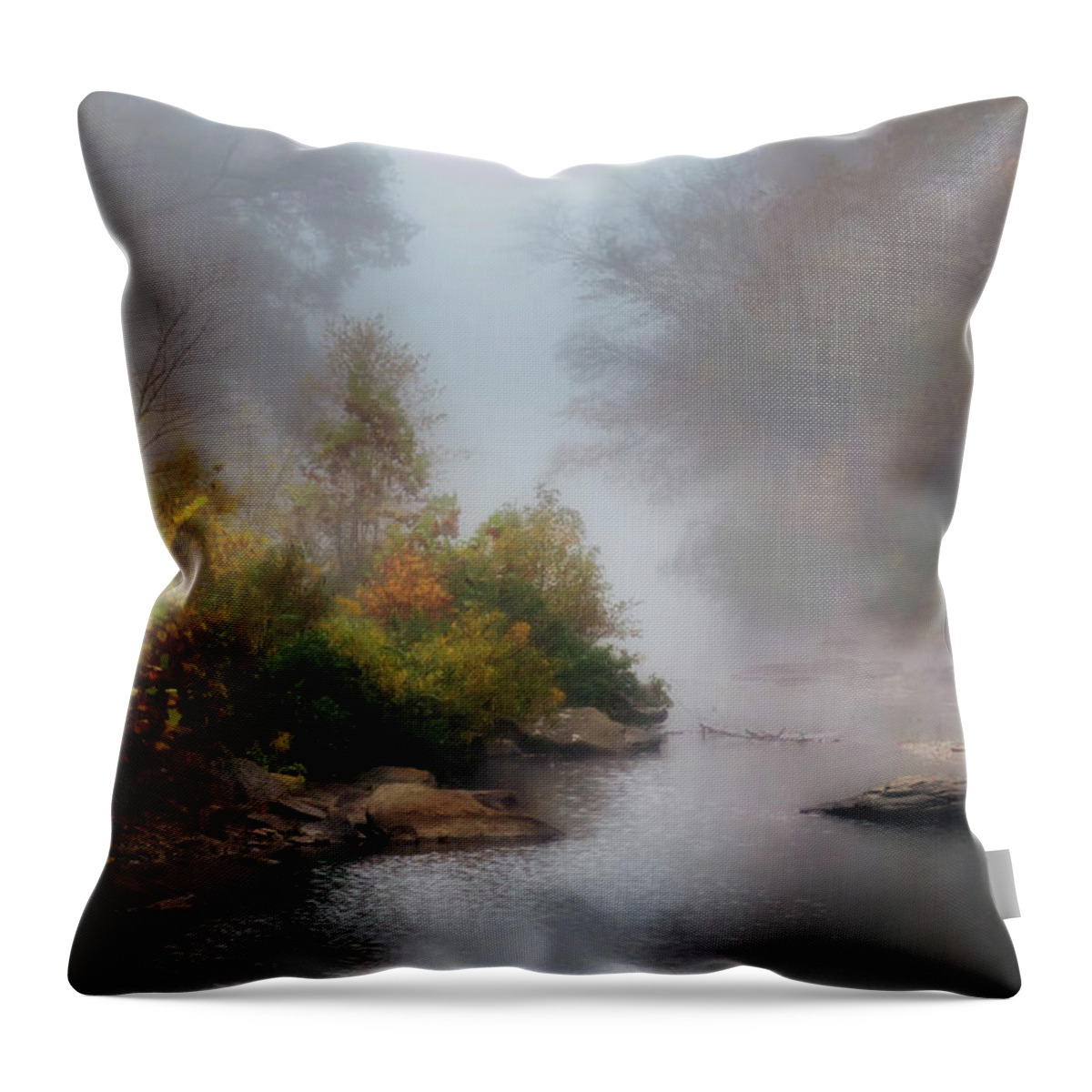 Painterly Throw Pillow featuring the photograph Lee Creek by James Barber