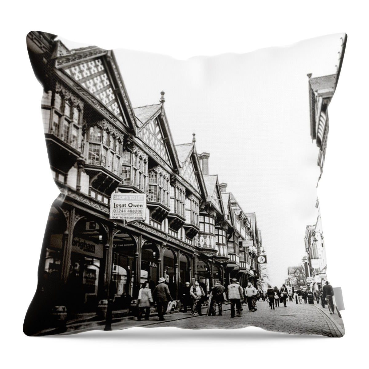 Black And White Throw Pillow featuring the photograph Legat and Owen by Spikey Mouse Photography