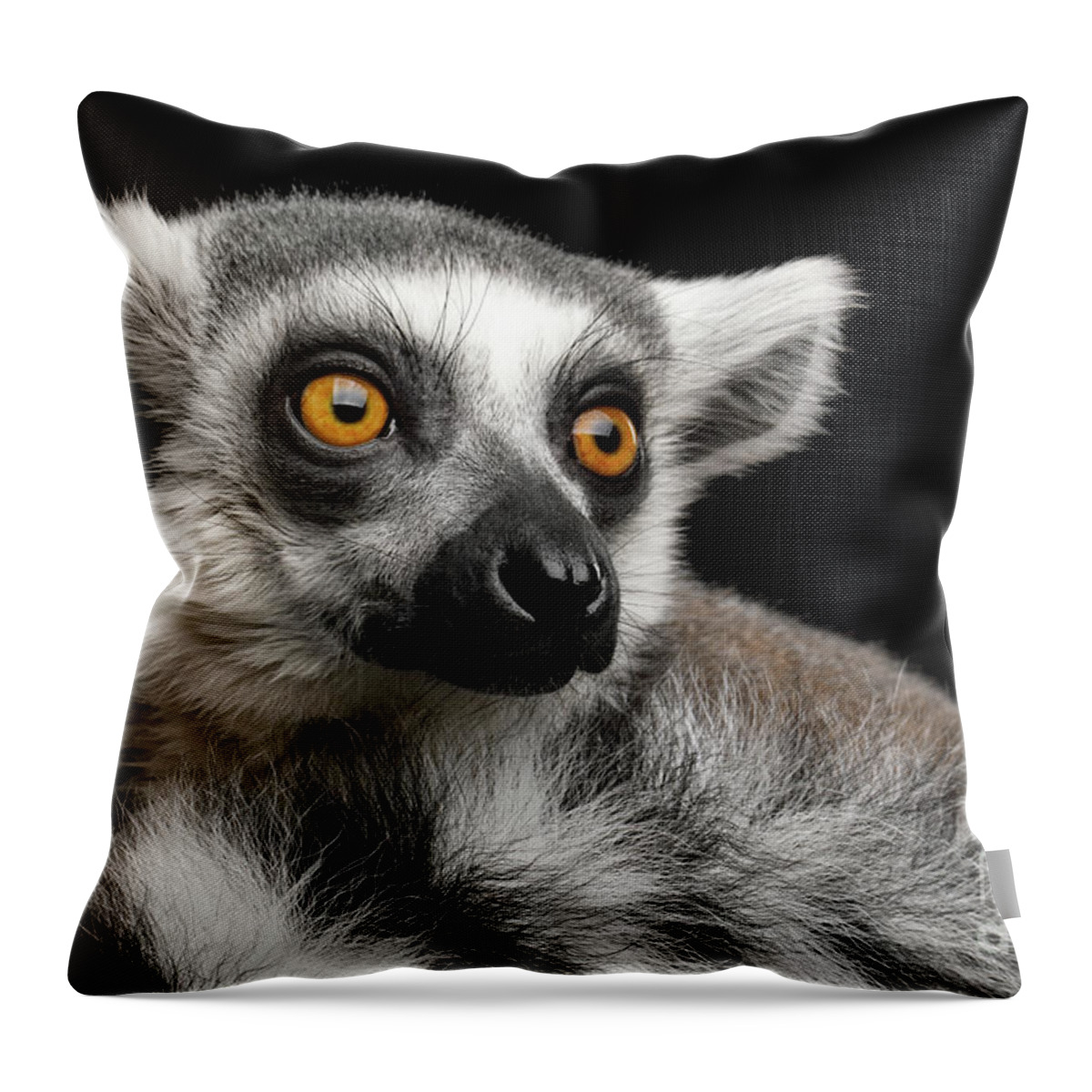 Lemur Throw Pillow featuring the photograph Lemur by Sergey Taran