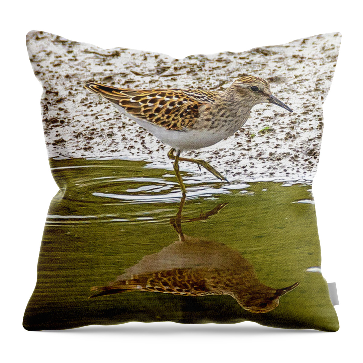 Sandpiper Throw Pillow featuring the photograph Lest Sandpiper by Jerry Cahill