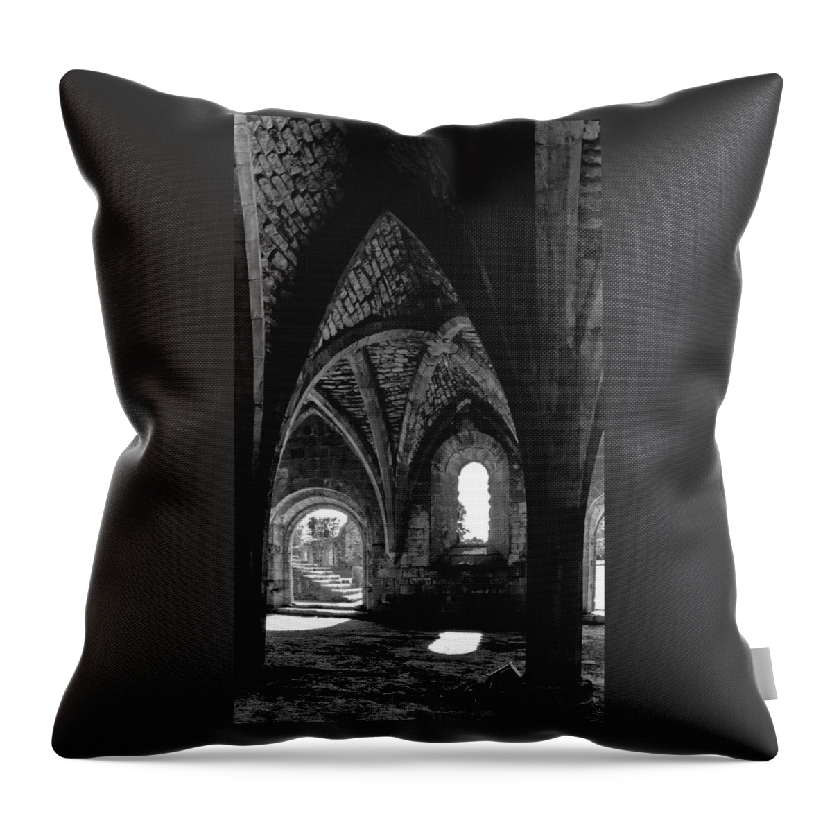 Monochrome Photography Throw Pillow featuring the photograph Light inside the vaults. by Elena Perelman