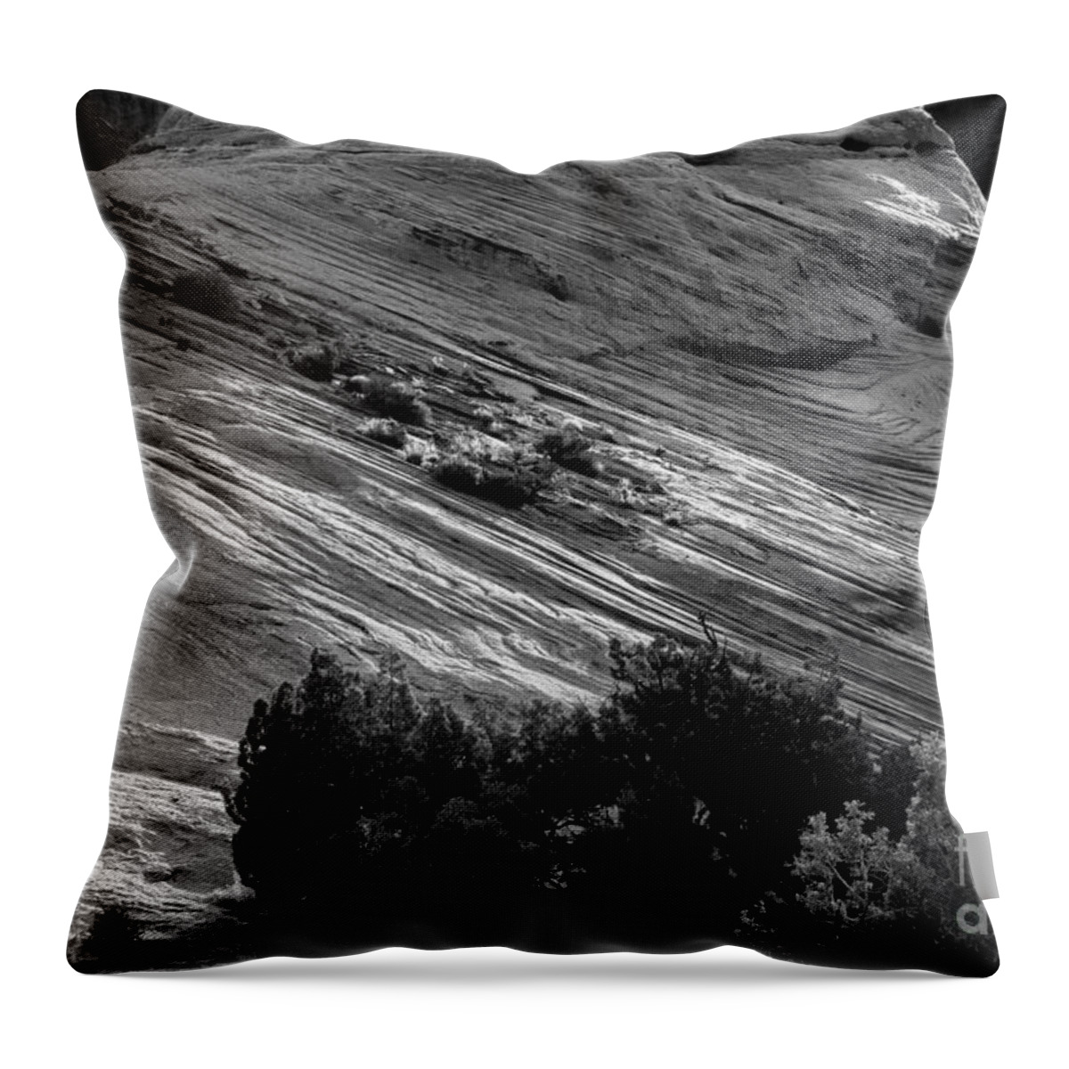 Utah Throw Pillow featuring the photograph Light Painting by Jim Garrison