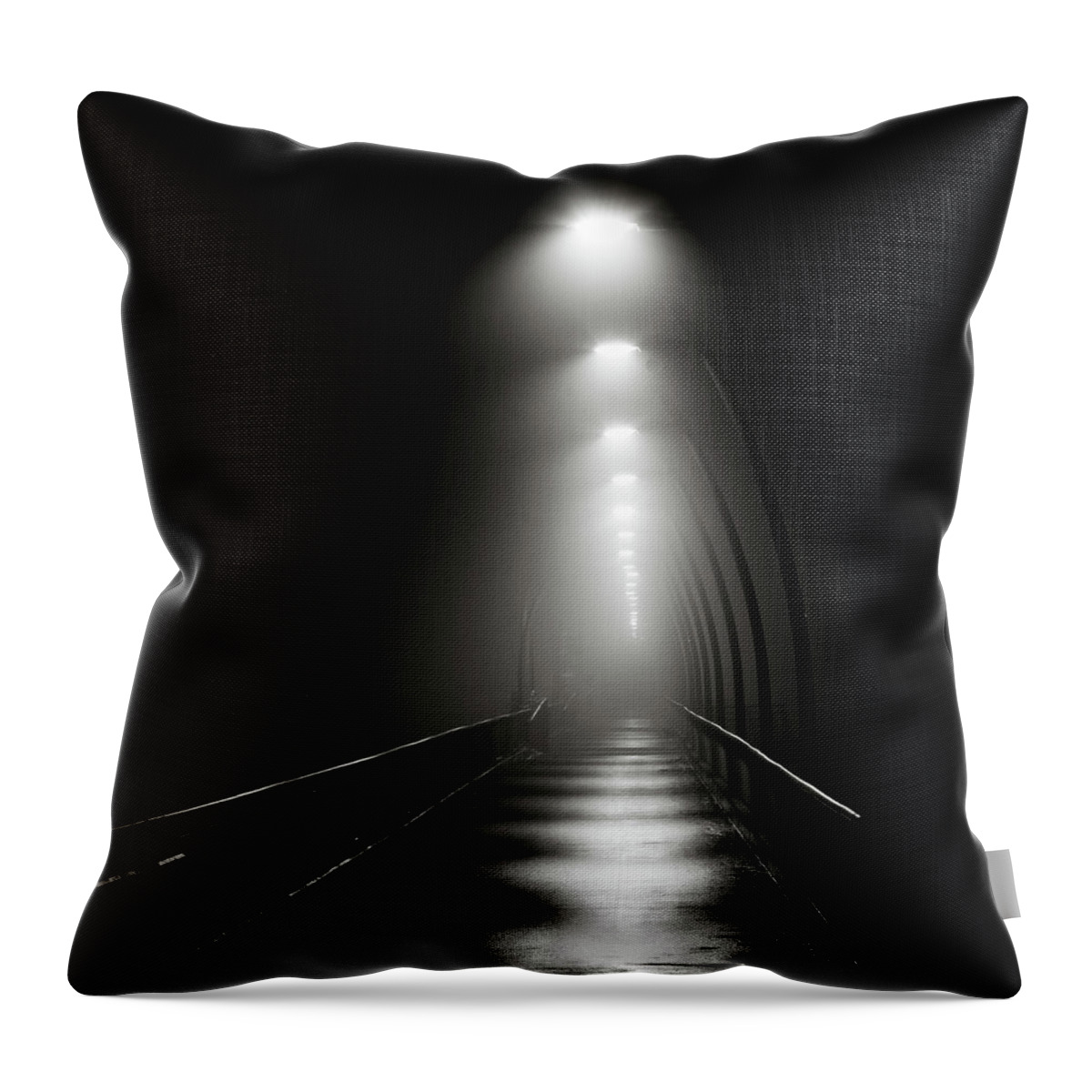 Black And White Throw Pillow featuring the photograph Light the Way by Darryl Hendricks