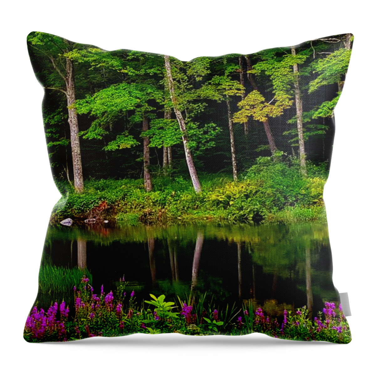 Landscape Throw Pillow featuring the photograph Like A Fairy Tale by Dani McEvoy