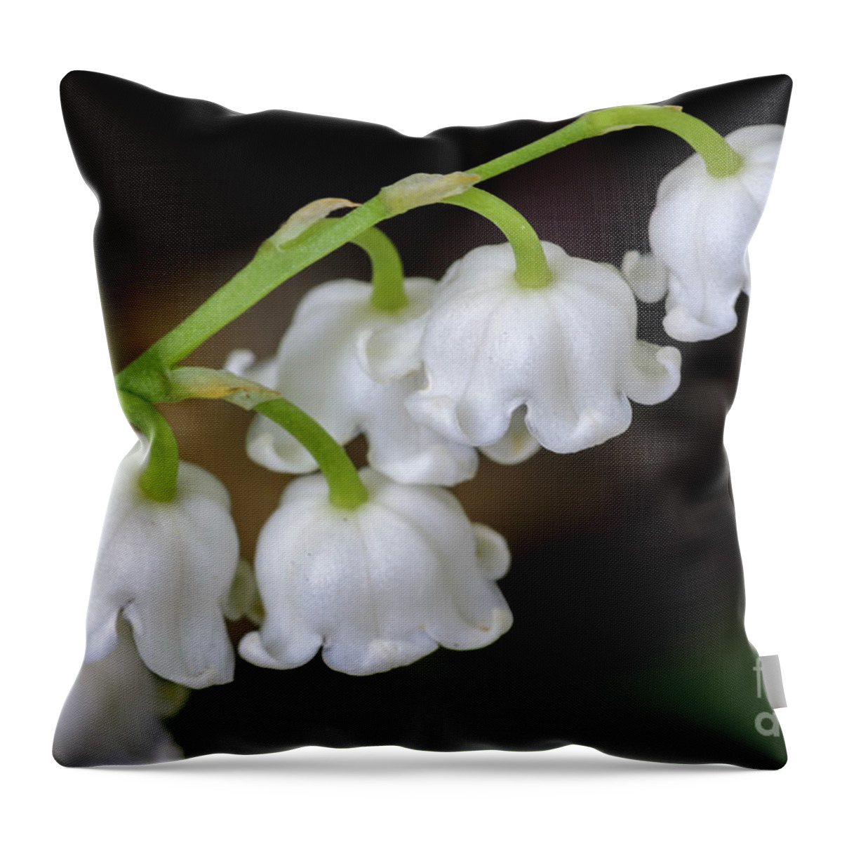 Lily Of The Valley Throw Pillow featuring the photograph Lily Of The Valley Flowers by Tamara Becker
