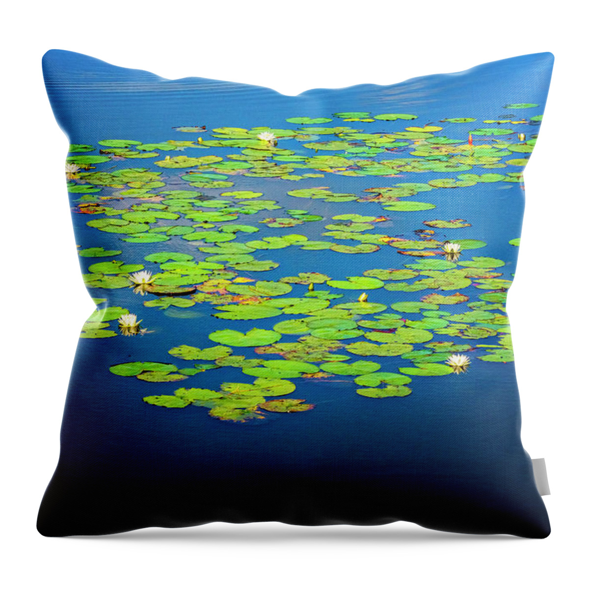 North Port Florida Throw Pillow featuring the photograph Lily Pads by Tom Singleton