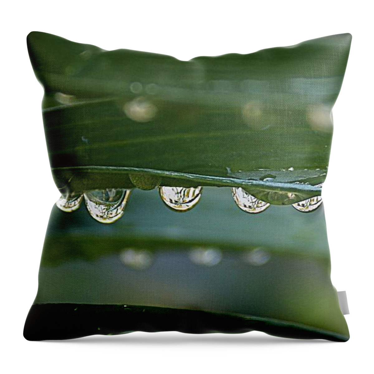 Droplets Throw Pillow featuring the photograph Line up by Yumi Johnson