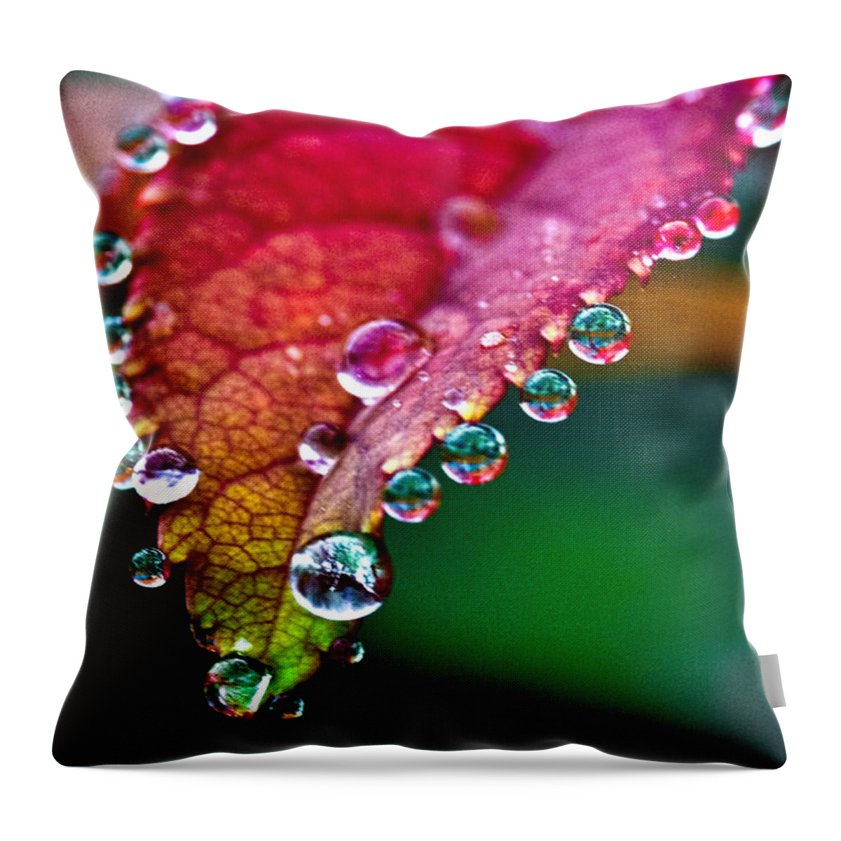 Flora Throw Pillow featuring the photograph Liquid Beads by Christopher Holmes