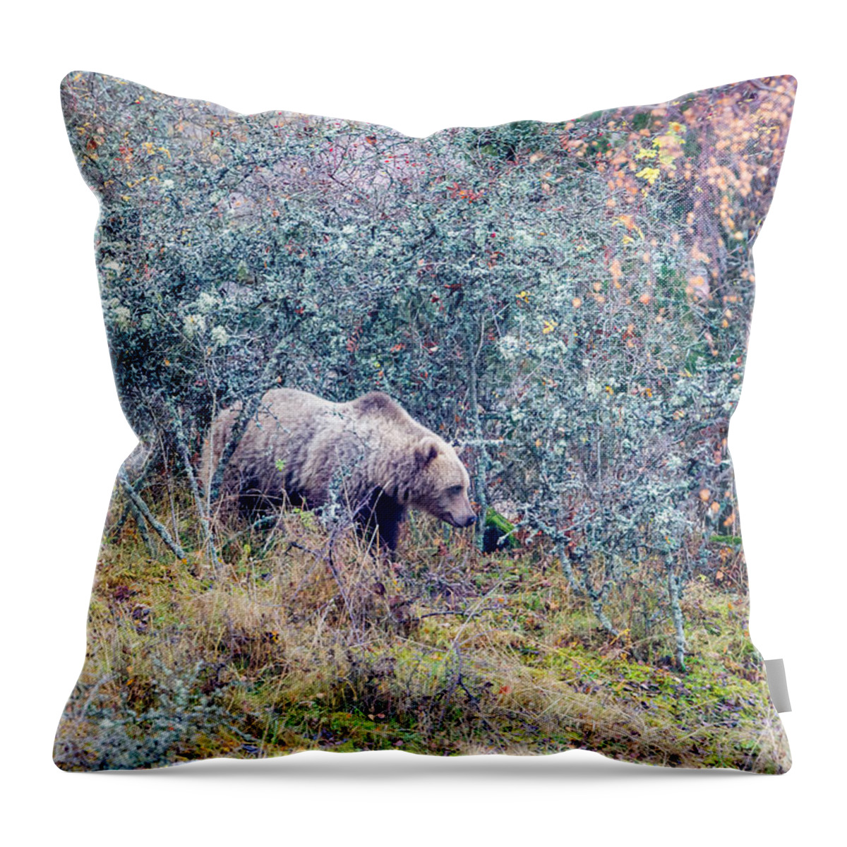 Bear Throw Pillow featuring the photograph Listening Bear by Torbjorn Swenelius