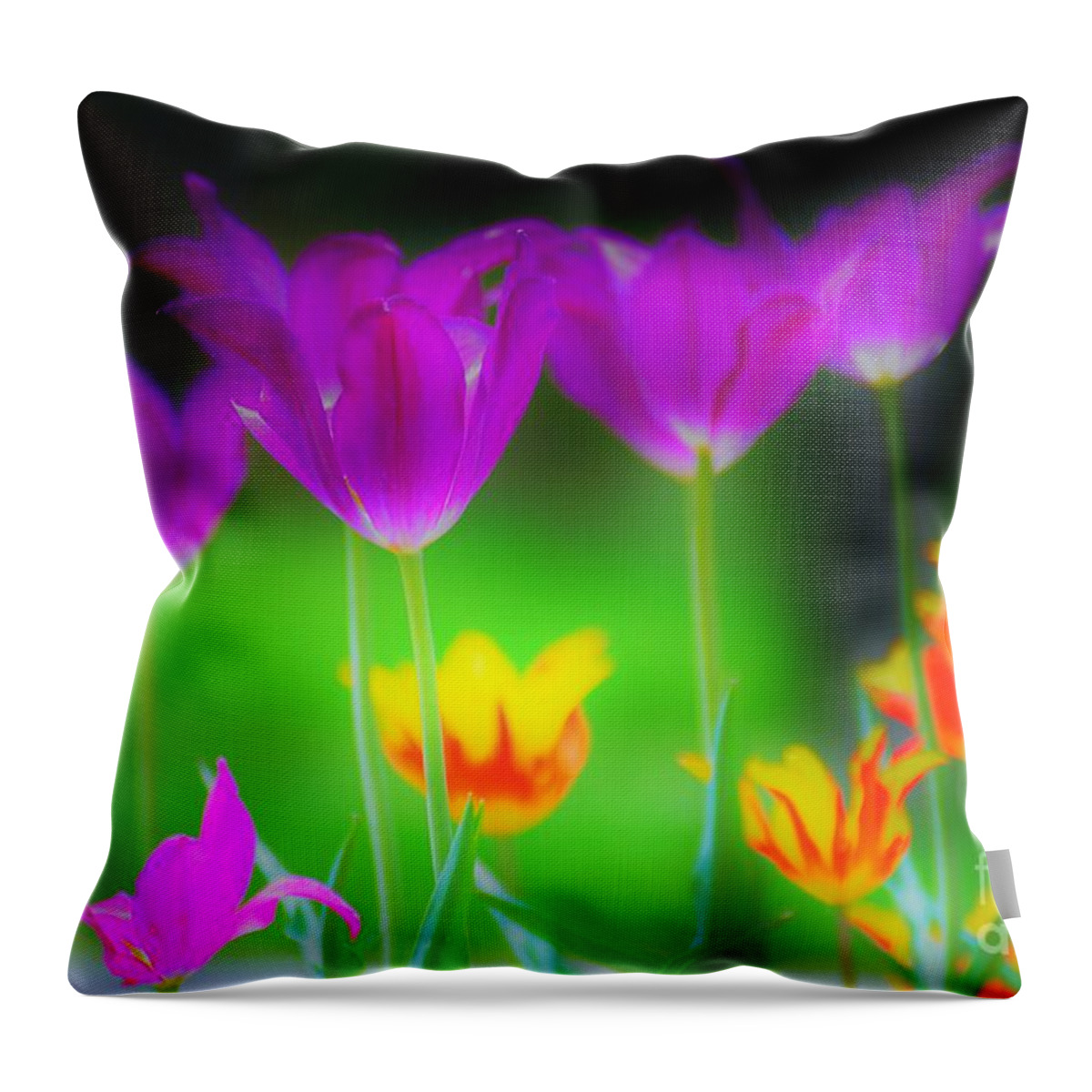 Flowers Throw Pillow featuring the photograph Lite from Below by Merle Grenz