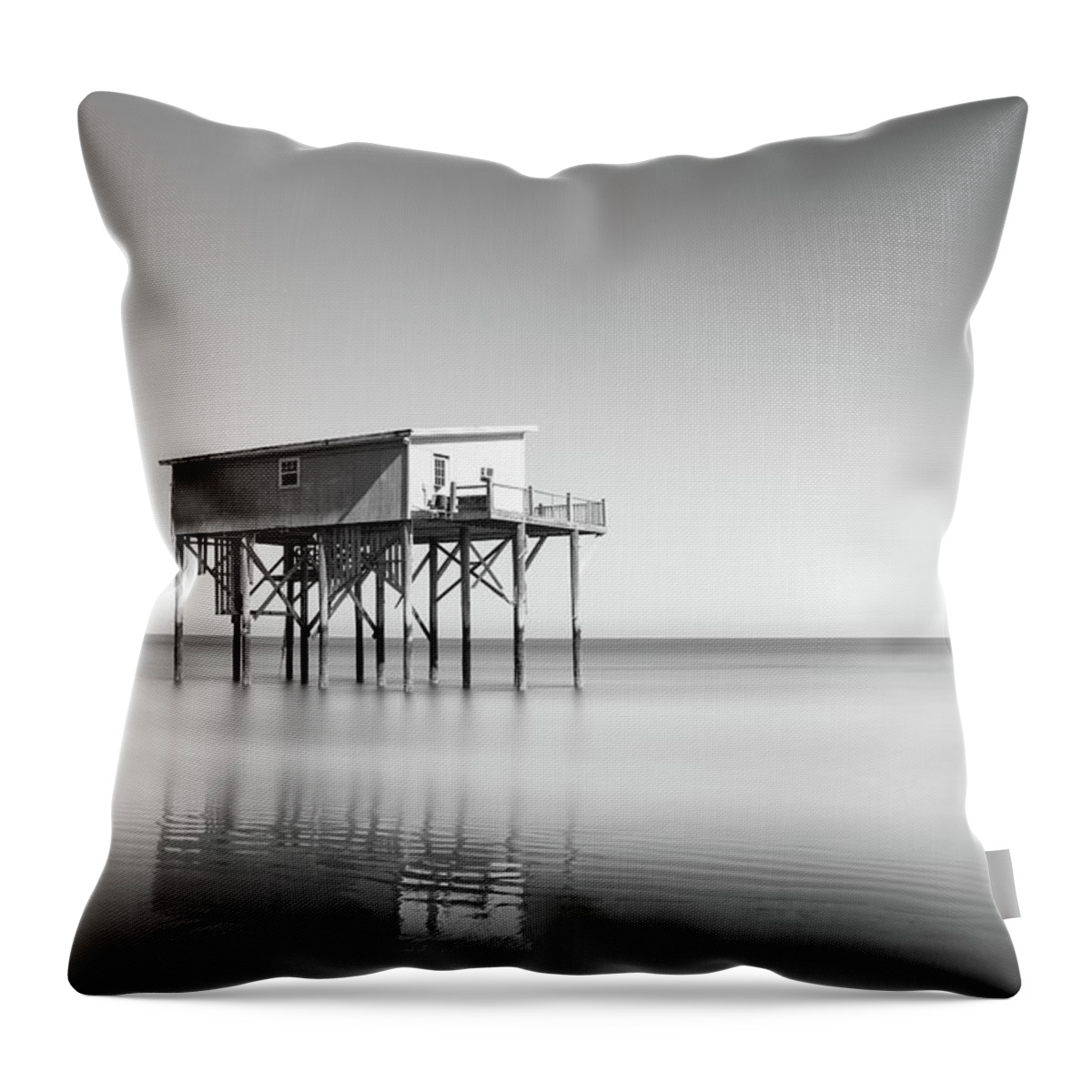 Little Blue Throw Pillow featuring the photograph Little Blue in Black and White by Ivo Kerssemakers
