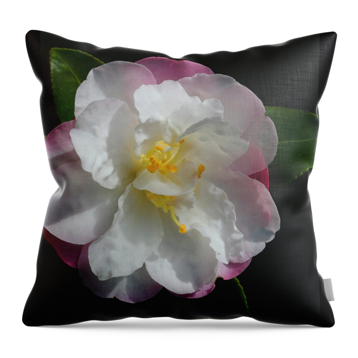 Little Pearl Camellia Throw Pillow featuring the photograph Little Pearl Camellia by Tammy Pool