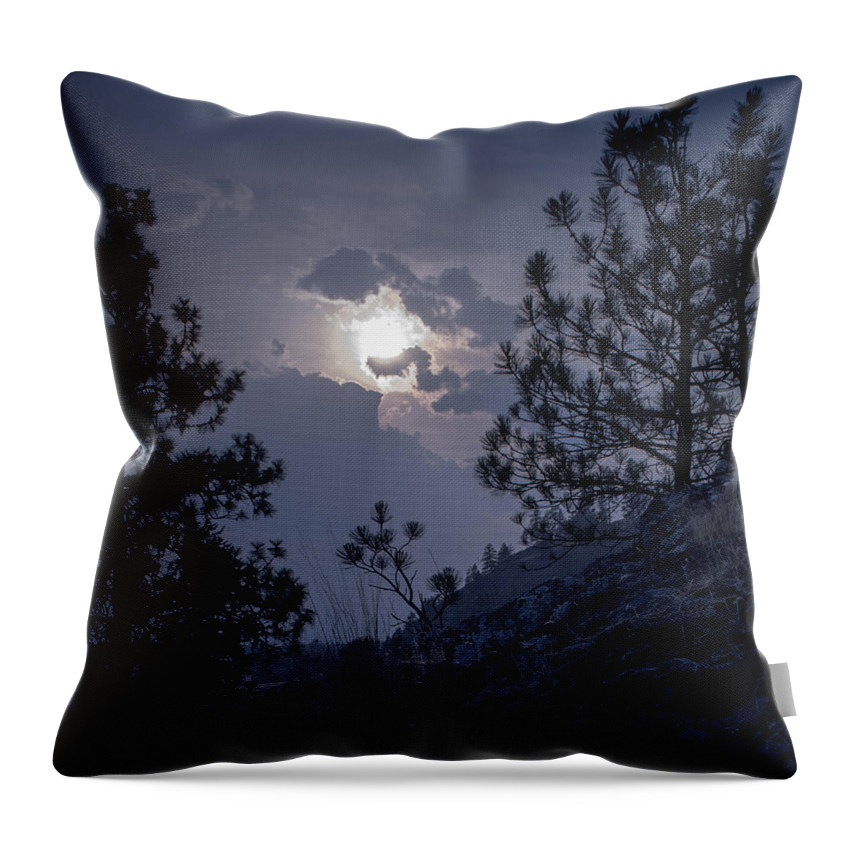 Rattlesnake Mt Throw Pillow featuring the photograph Little Pine by Troy Stapek