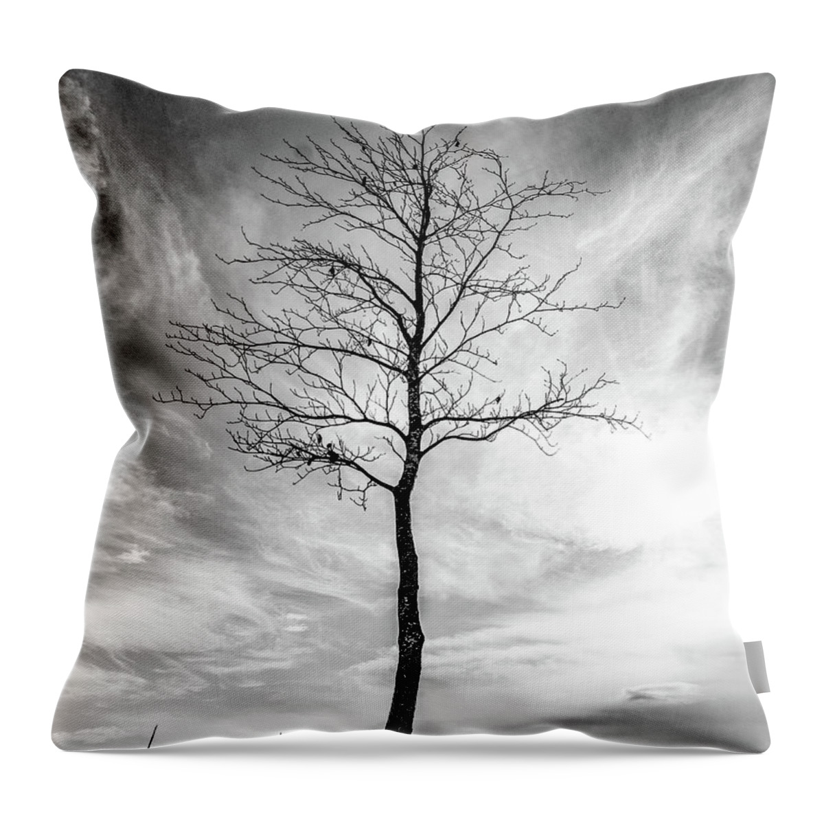 Tree Throw Pillow featuring the photograph Little Tree by Roseanne Jones