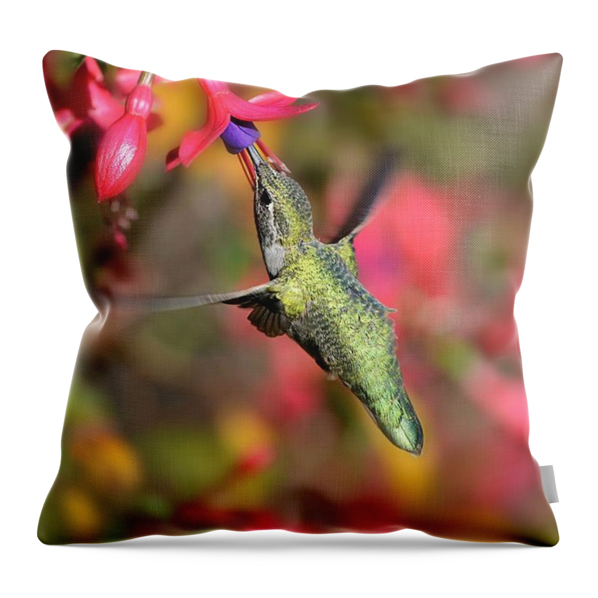 Hummingbird Throw Pillow featuring the photograph Little Wonder by Carolyn Mickulas