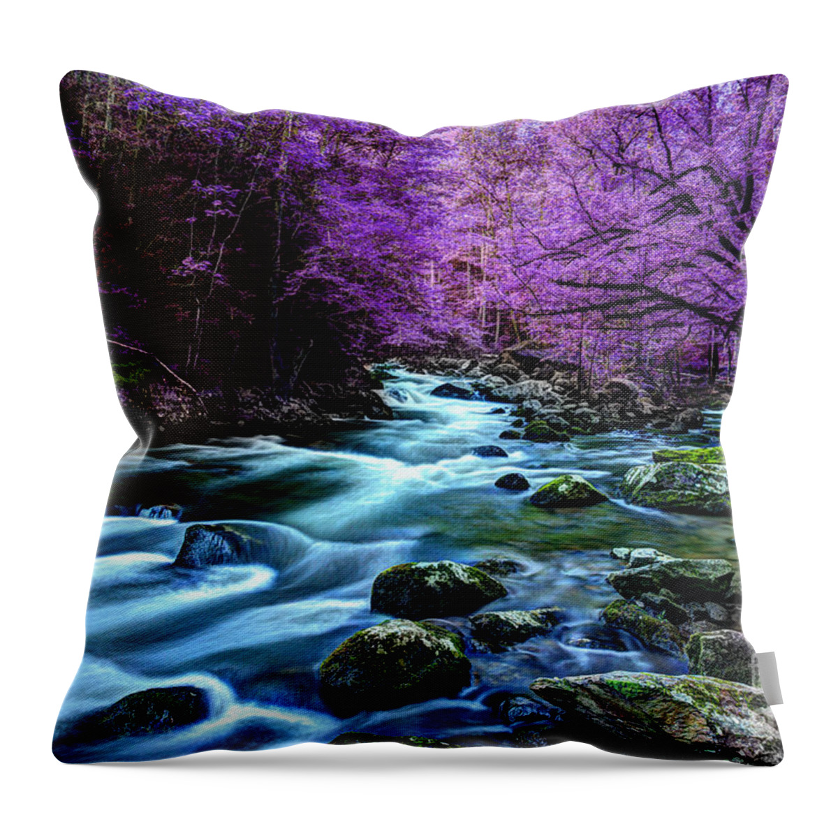 River Scene Throw Pillow featuring the photograph Living In Yesterday's Dream by Michael Eingle