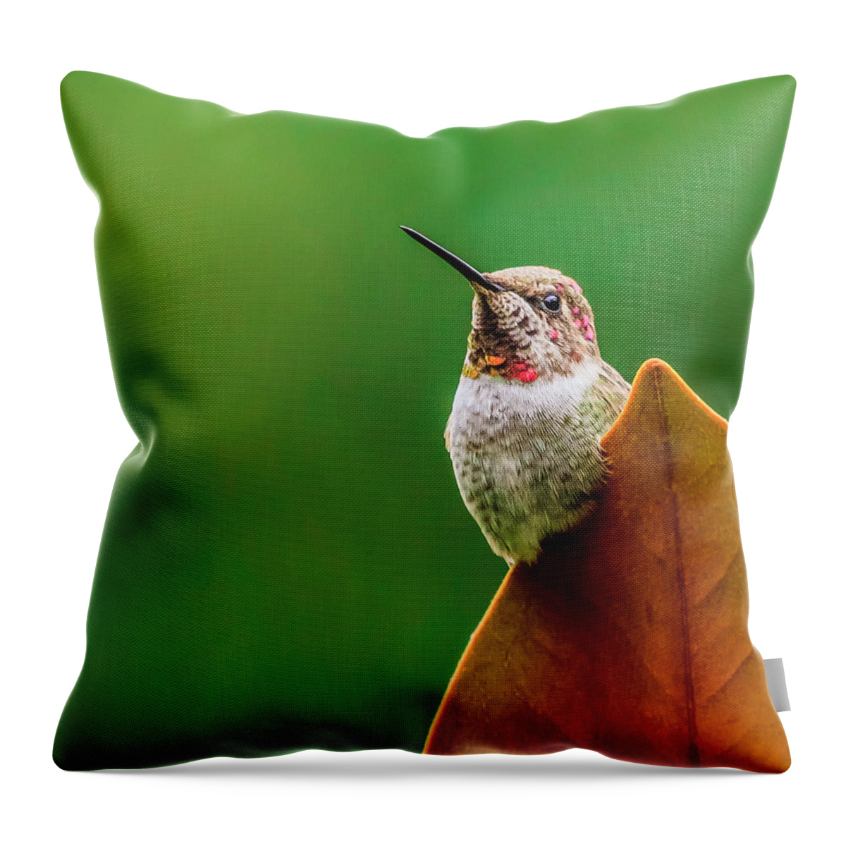 Bird Throw Pillow featuring the photograph Living on the Edge by Briand Sanderson