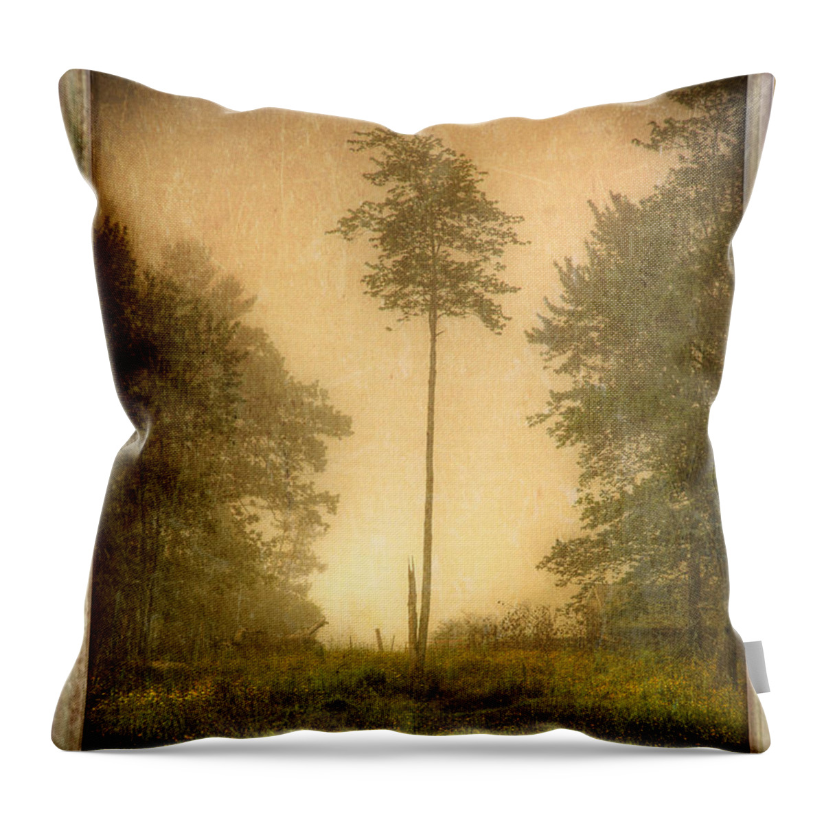 Our Town Throw Pillow featuring the photograph Lone Fog Tree in the Meadow by Craig J Satterlee
