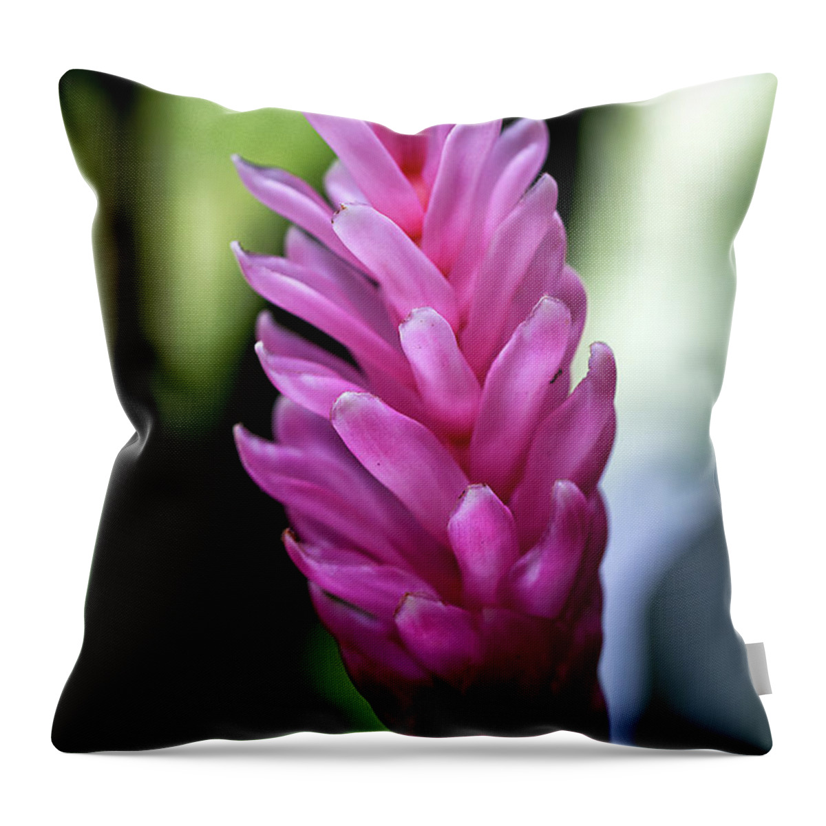Granger Photography Throw Pillow featuring the photograph Lone Pink Ginger by Brad Granger