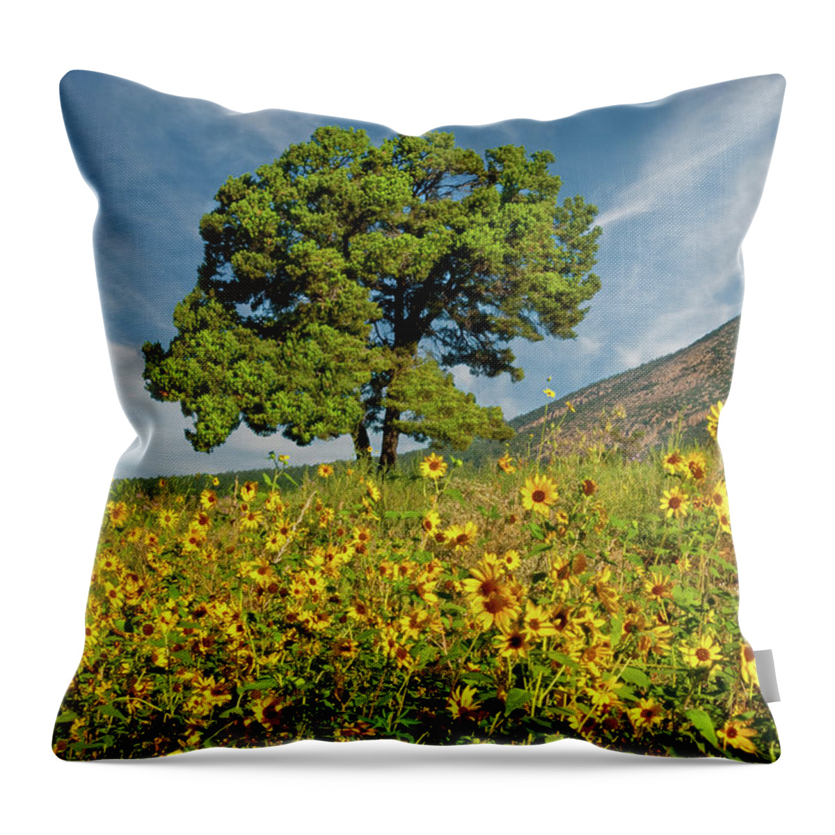 Arizona Throw Pillow featuring the photograph Lone Tree in a Sunflower Field by Jeff Goulden