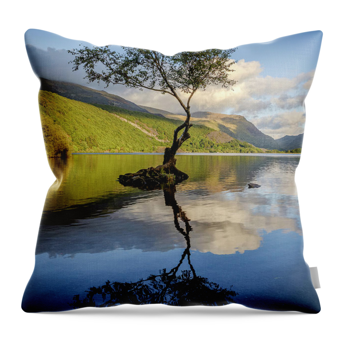 Gwynedd Throw Pillow featuring the photograph Lone Tree, Llyn Padarn by Peter OReilly