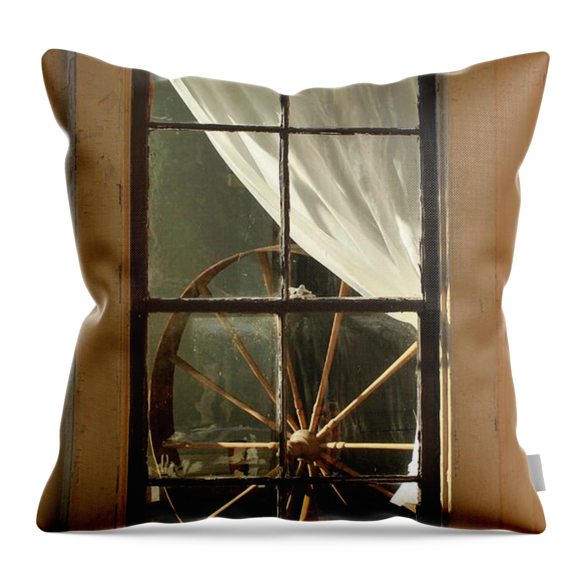 Karen Silvestri Throw Pillow featuring the photograph Looking Into The Past by Karen Silvestri