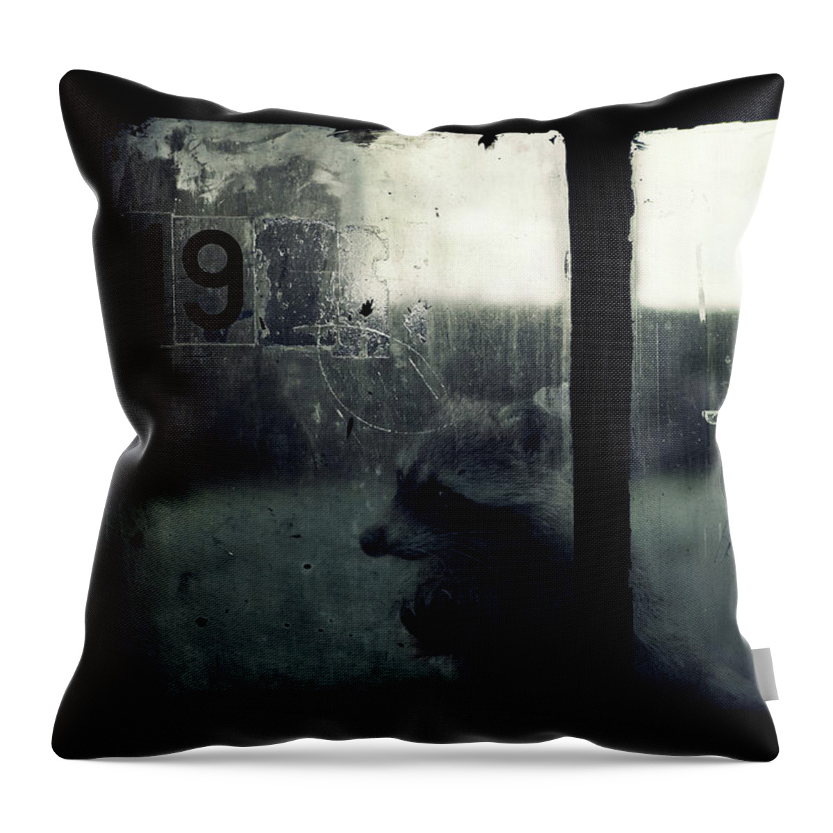 Light Throw Pillow featuring the photograph Lost Animals - Series nr.3 by Zoltan Toth