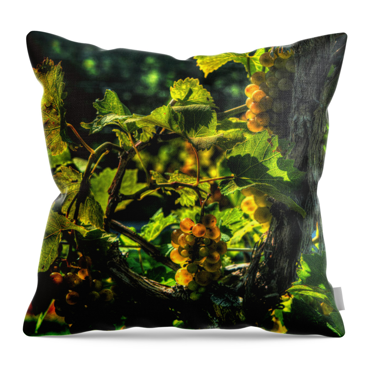 Lost Creek Chardonel Throw Pillow featuring the digital art Lost Creek Chardonel by William Fields