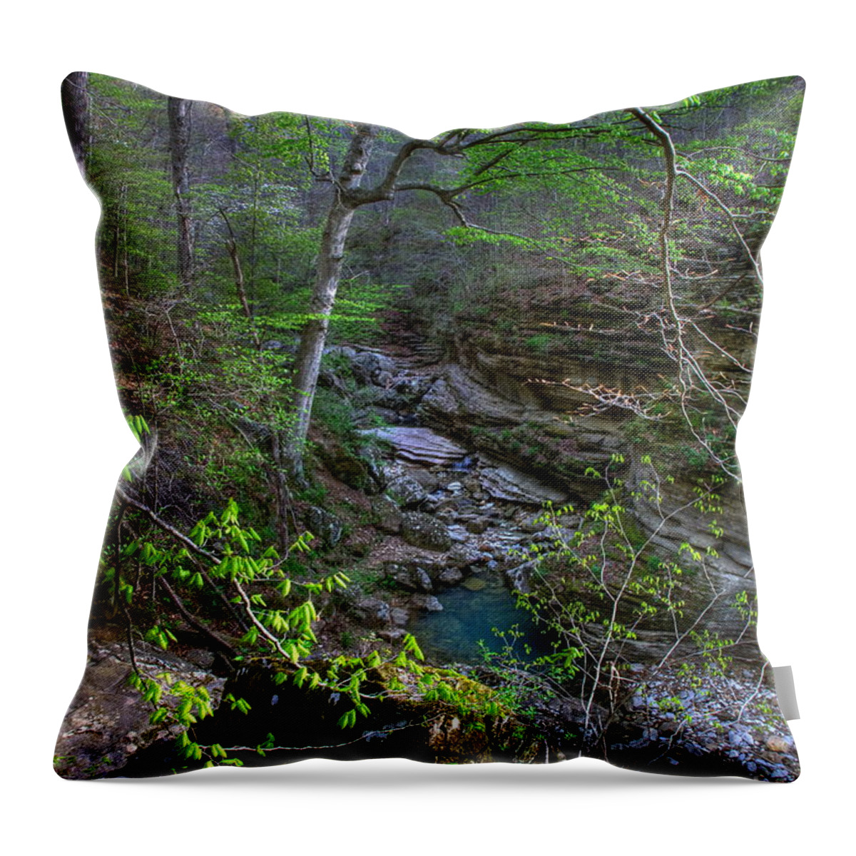 Lost Valley Canyon Throw Pillow featuring the photograph Lost Valley Canyon Buffalo National River by Michael Dougherty