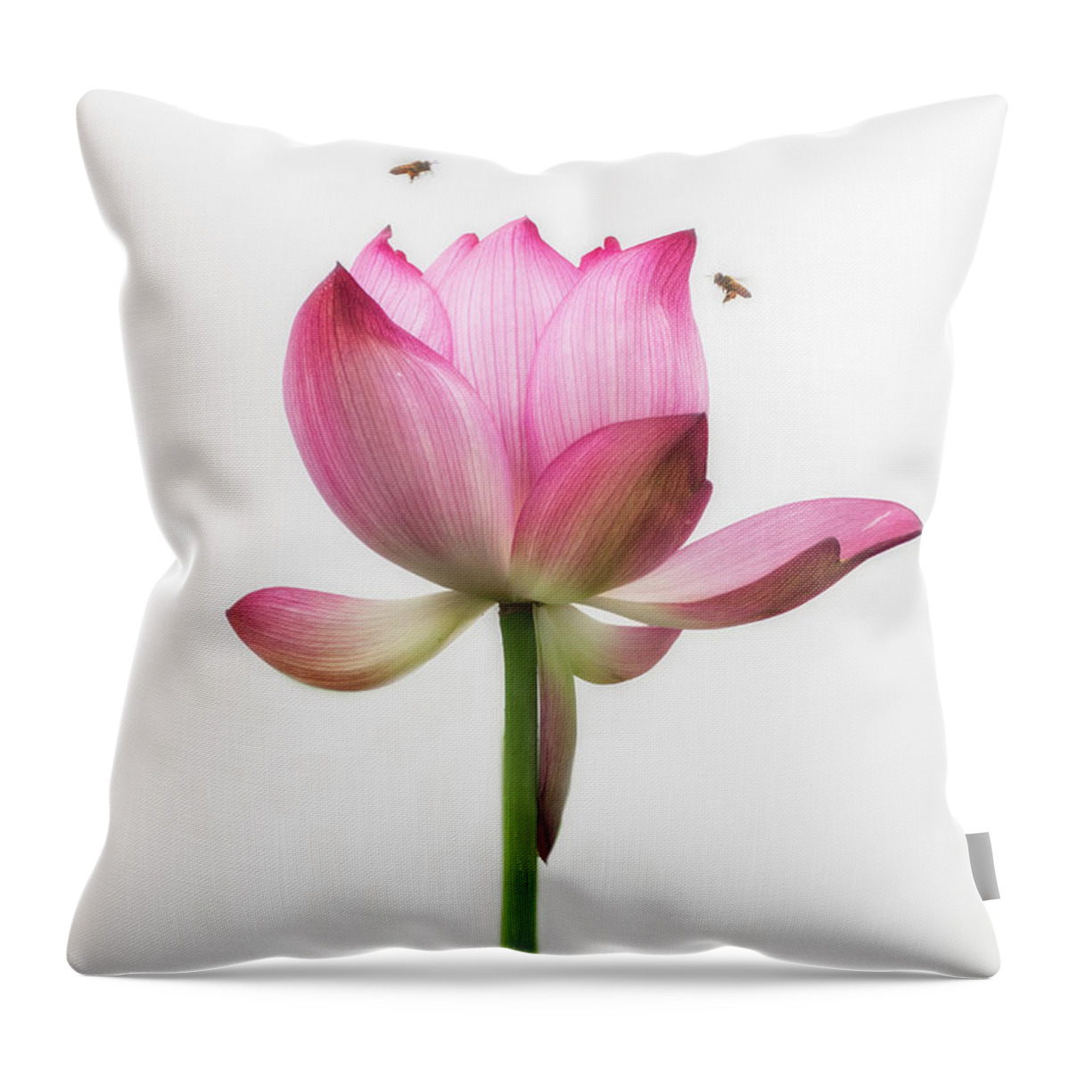 China Throw Pillow featuring the photograph Attraction between the bees and the flower. by Usha Peddamatham