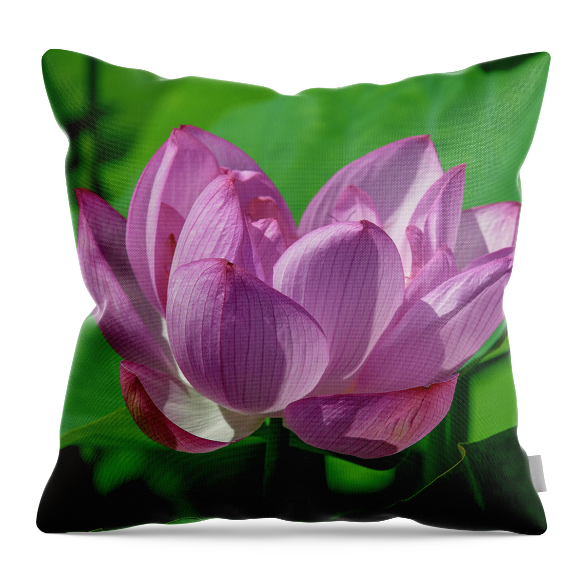 Lotus Throw Pillow featuring the photograph Lotus Beauty--Buxom Beauty i DL0089 by Gerry Gantt