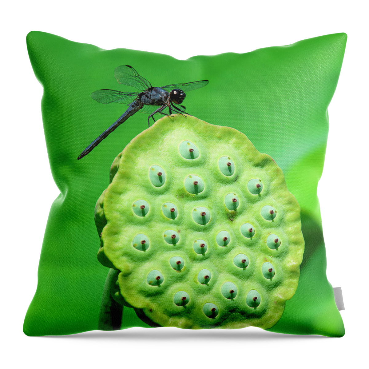 Lotus Throw Pillow featuring the photograph Lotus Capsule and Slaty Skimmer Dragonfly DL0106 by Gerry Gantt