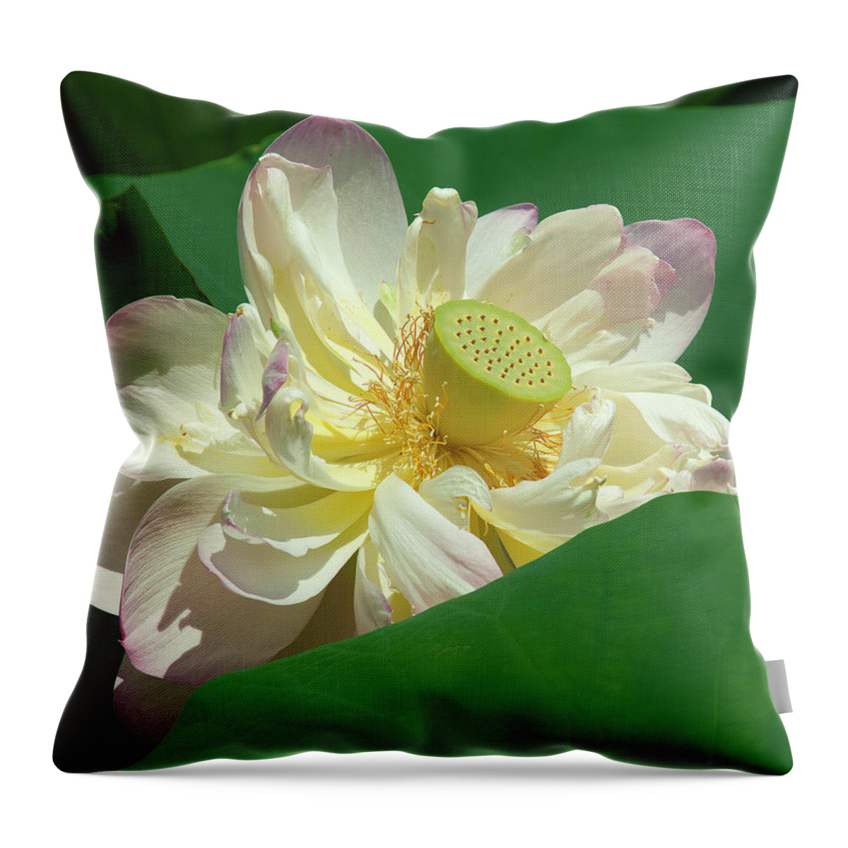 Lotus Throw Pillow featuring the photograph Lotus--Doubled-Up iii DL0103 by Gerry Gantt