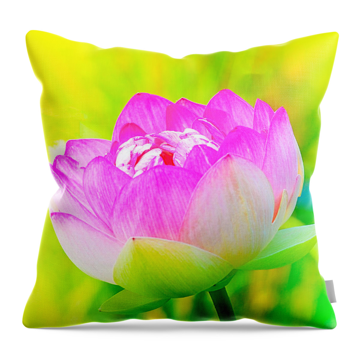 Lotus Flowers Throw Pillow featuring the photograph Lotus by Michael Hubley