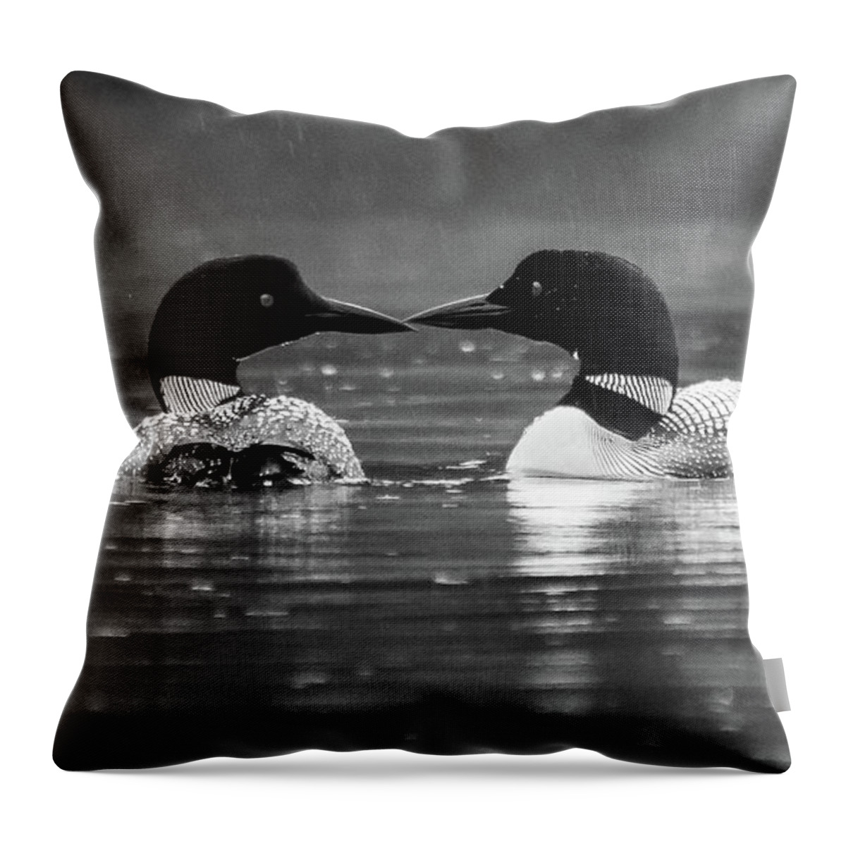 Black And White Throw Pillow featuring the photograph Loving Loons by Darryl Hendricks
