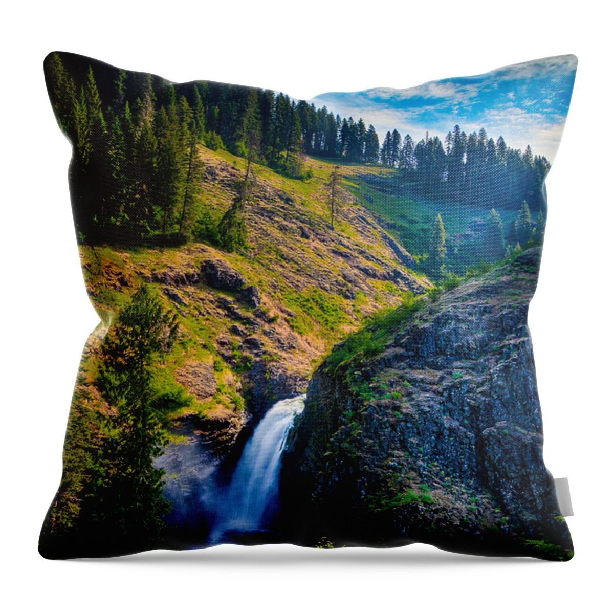  Throw Pillow featuring the photograph Lower Falls - Elk Creek Falls by Rikk Flohr