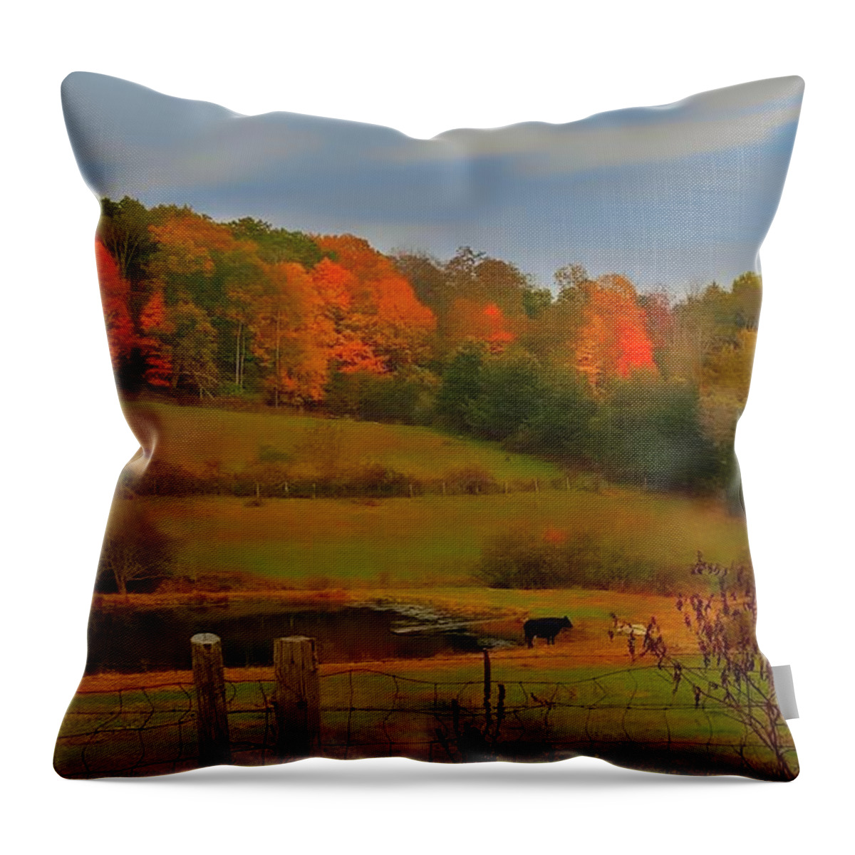 Autumn Throw Pillow featuring the photograph Lucky Cow by Dani McEvoy