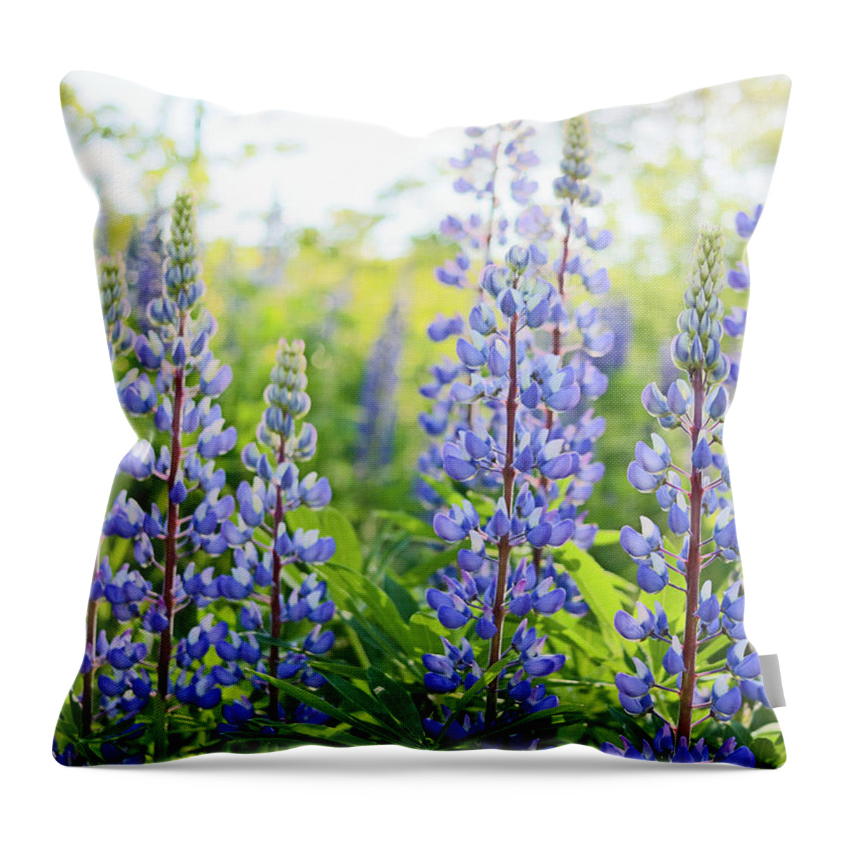 Lupines Throw Pillow featuring the photograph Lupines by Holly Ross