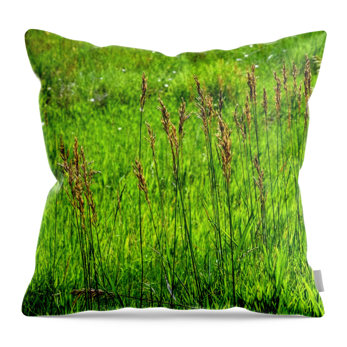 Grass Throw Pillow featuring the photograph Lush July by Michael Brungardt