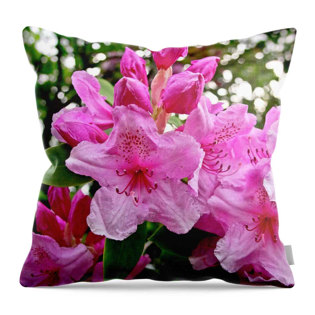 Lush Throw Pillow featuring the photograph Lush spring of the pink rhododendrons. by Elena Perelman