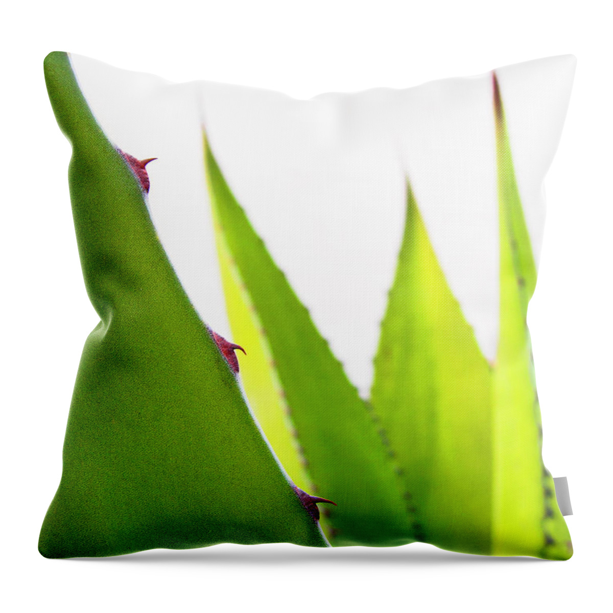 Mack The Knife Throw Pillow featuring the photograph Mack the Knife 1 by Skip Hunt