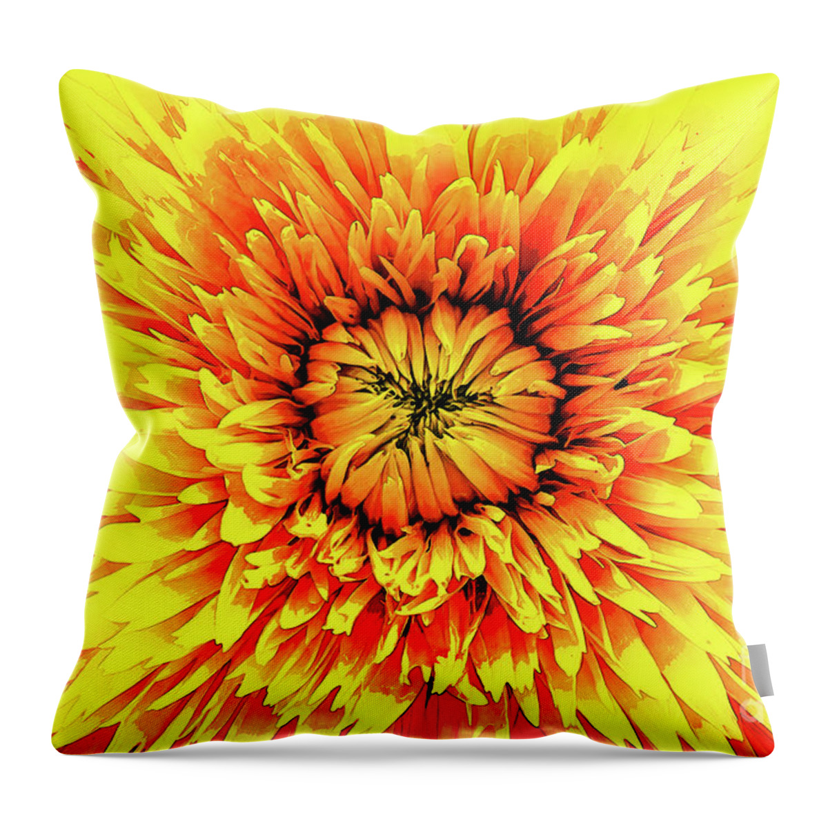 Macro Throw Pillow featuring the digital art Macro Flower Petals by Phil Perkins