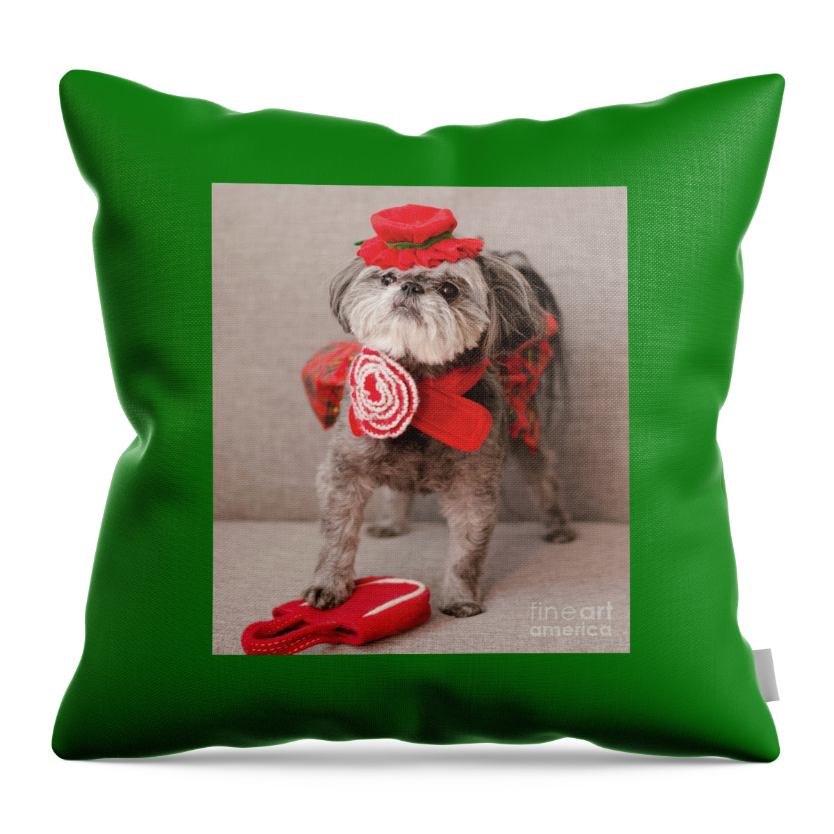Dog Photography Throw Pillow featuring the photograph Madam Scarlett in All Red by Irina ArchAngelSkaya