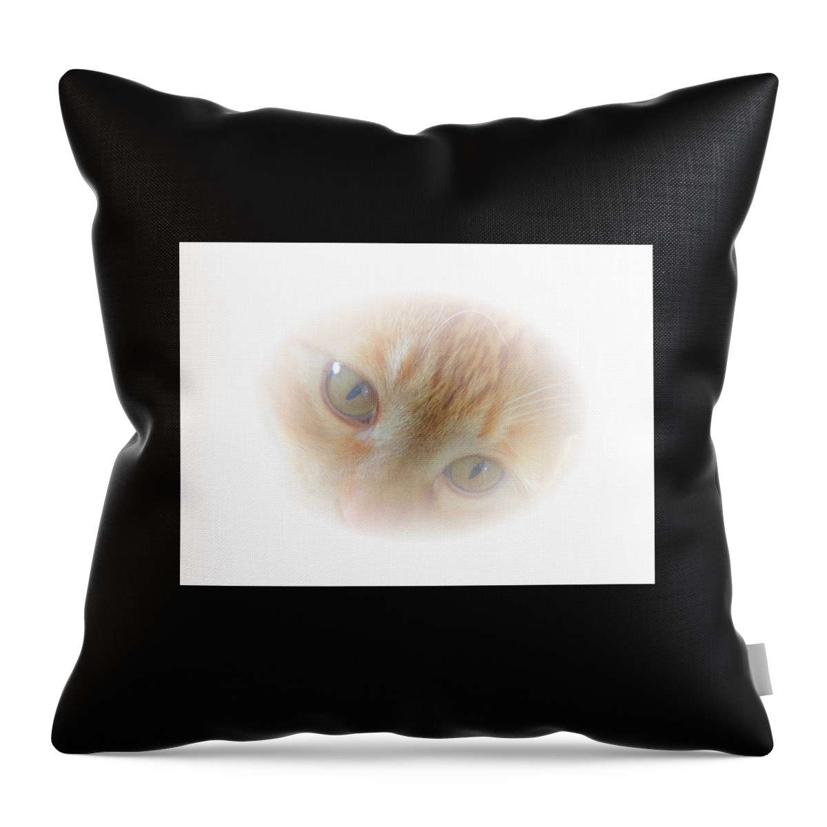 American Throw Pillow featuring the photograph Magic Eyes by Judy Kennedy