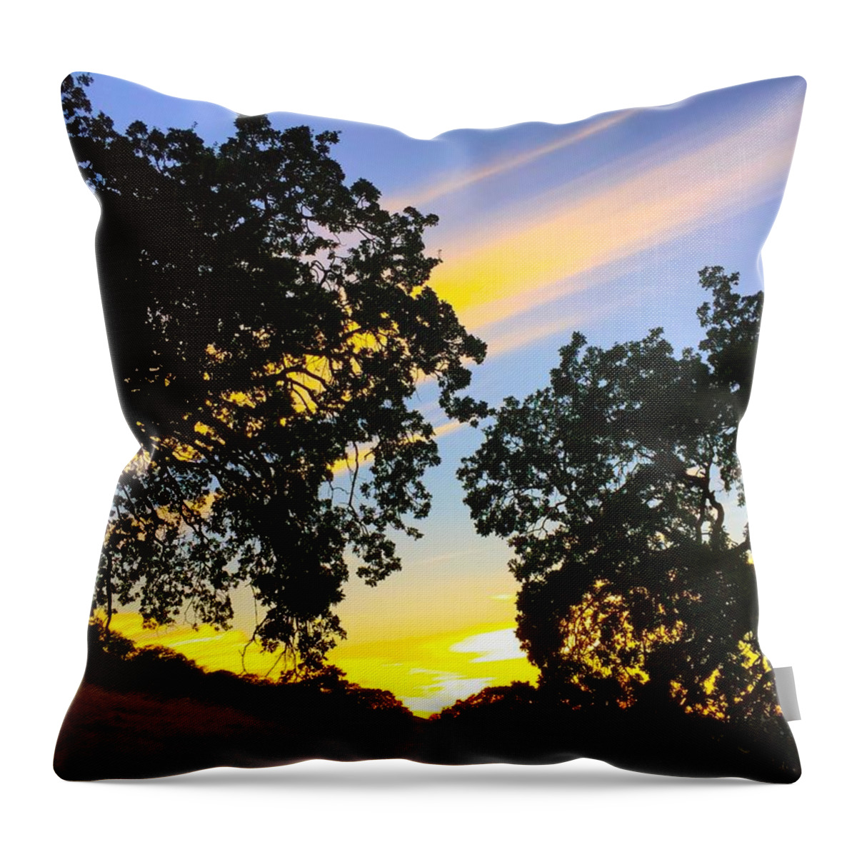 Sunset Throw Pillow featuring the photograph Magic Hour Sunset by Brad Hodges