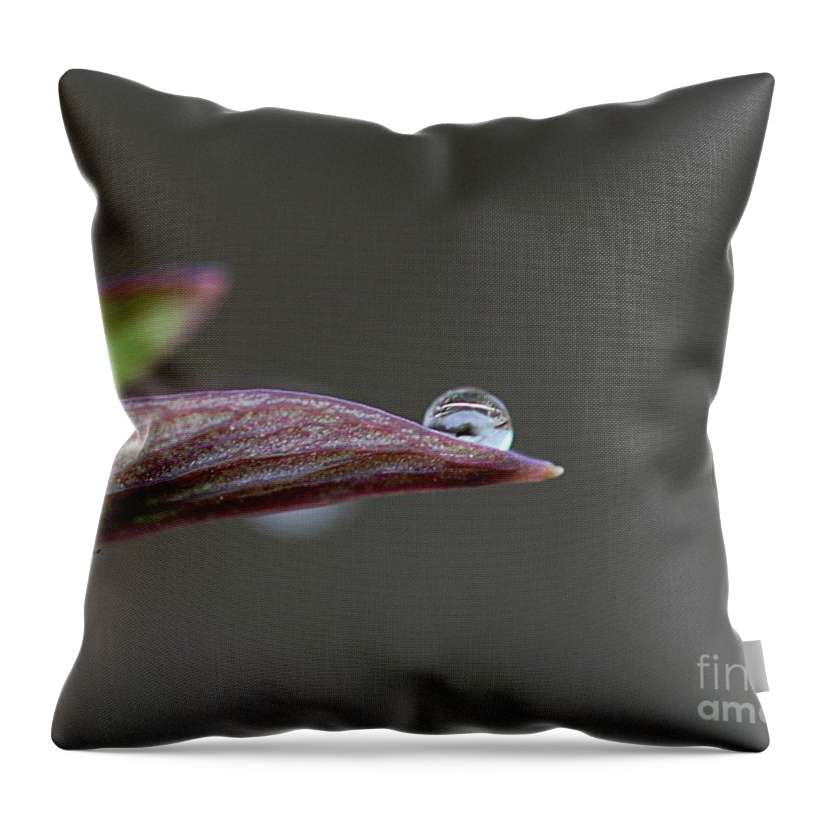 Droplets Throw Pillow featuring the photograph Magical ball by Yumi Johnson